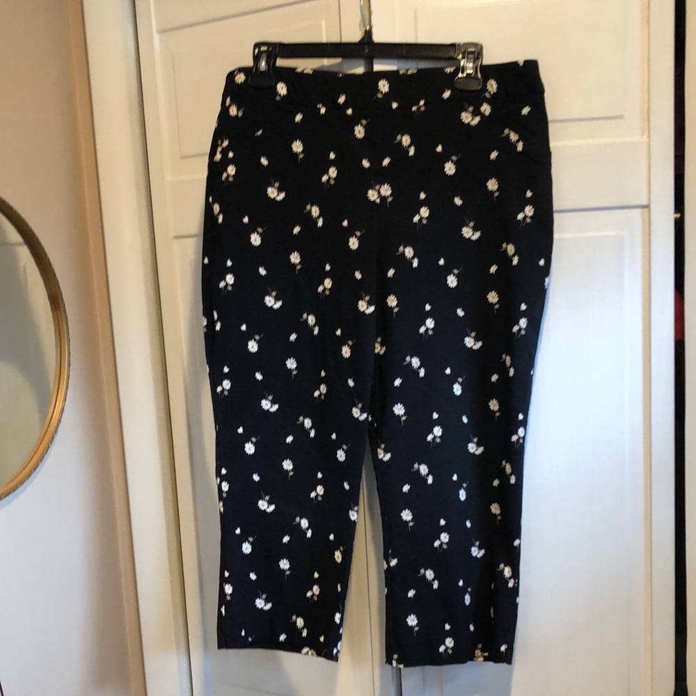 Floral Black Cropped Pants by Briggs Sz 14
